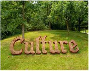 Общее понятие о культуре. Культурология как наука о культуре. Актуальность данной науки