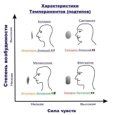 Комплексная организация интерьера средствами художественного оформления