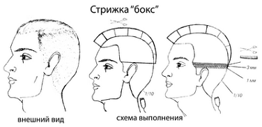 Основные тенденции современной мужской стрижки