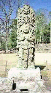 Писемність та система числення майя