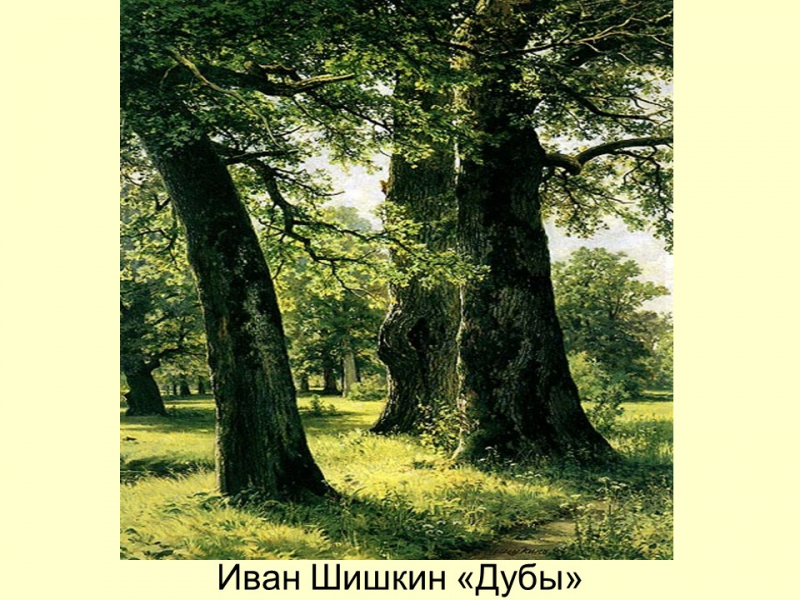 Реферат: Роль леса в художественном сознании русского народа в экономике и культуре России
