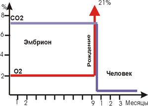 Реферат: Дыхательные методики