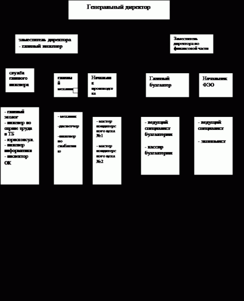 Реферат: Характеристика торгового предприятия 2